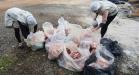 Operação da Receita Estadual fiscaliza estabelecimentos varejistas de carne em Cruz Machado