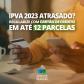 ipva_12_parcelas.jpg