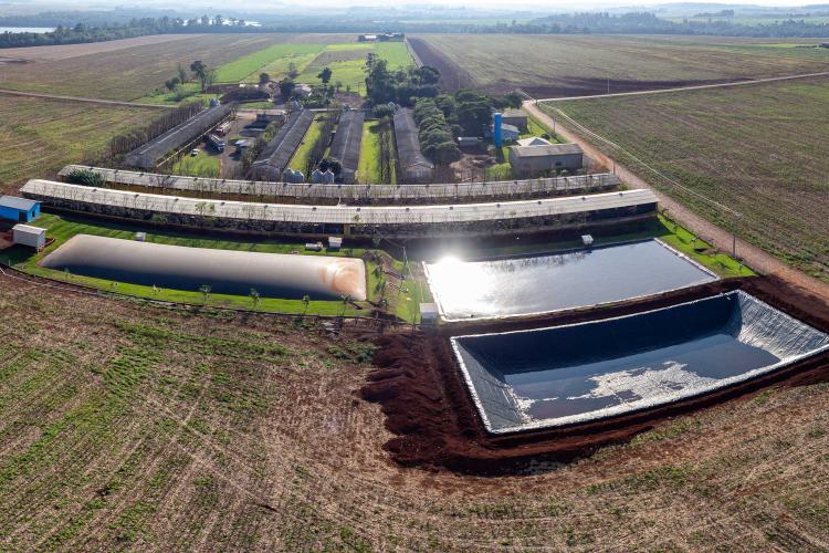 Biogás diminui custos de produção e gera renda para suinocultores de Pato Bragado
