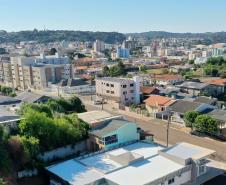 palmas.jpg