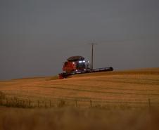 agricultura_colheita_noite_04_0.jpg