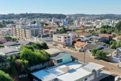 palmas.jpg
