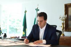 revisão