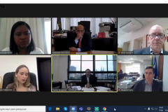 Webinar