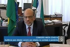 Comissão Mista Covid