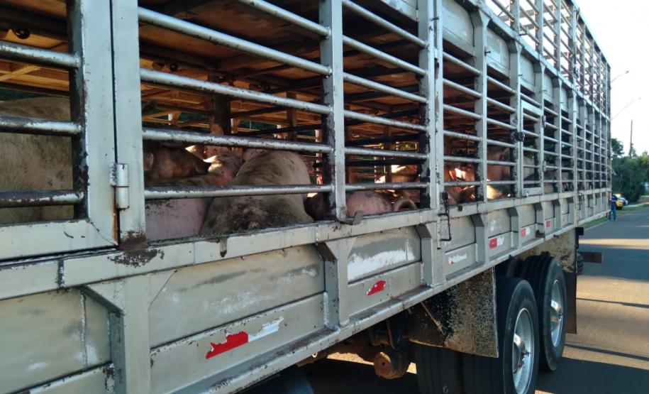 Operação da Receita identifica cargas irregulares e aplica multas de R$ 299 mil no Centro-Sul