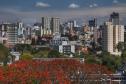 curitiba_116.jpg