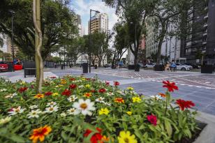 Curitiba Cidade no Paraná