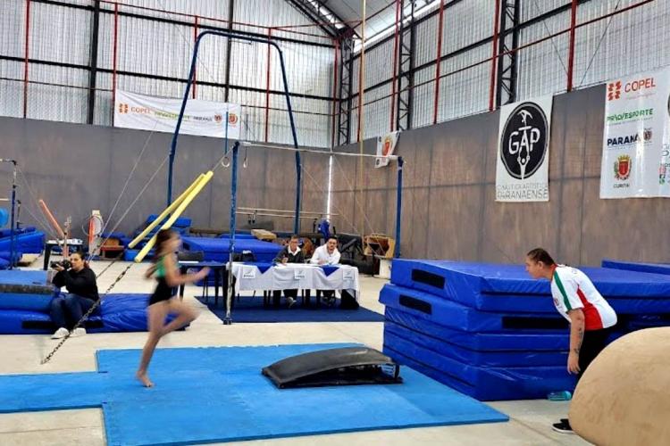instituto_de_ginastica_artistica_paranaense_-_igap_0.jpg