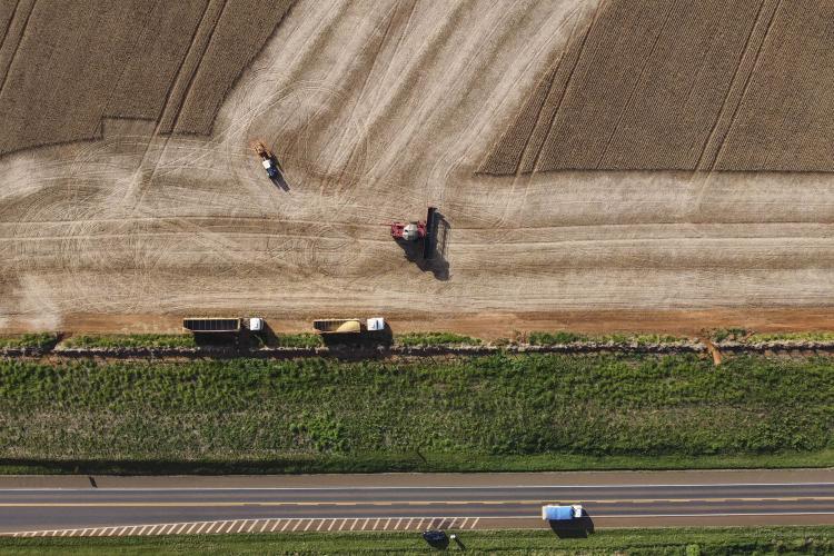 Agropecuária Paranaense