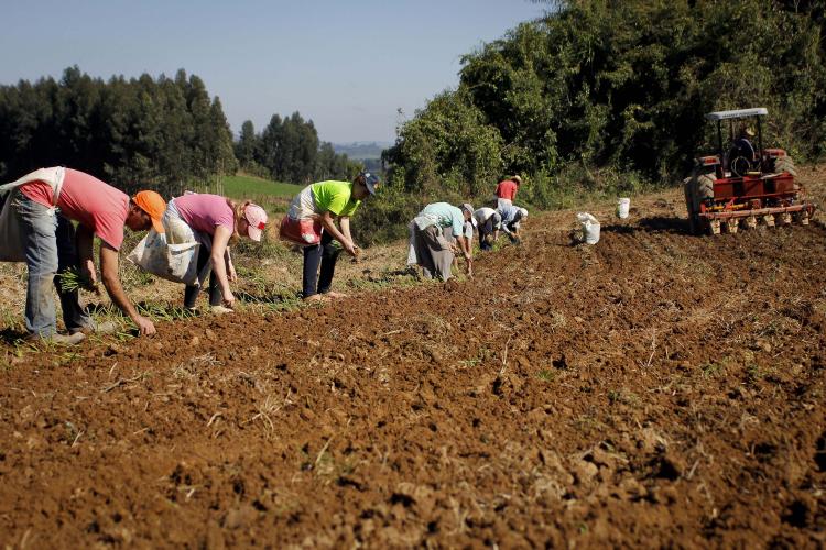 Agricultores de Quitandinha