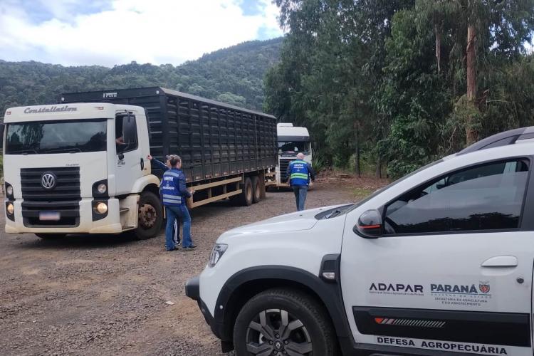 Operação da Receita Estadual