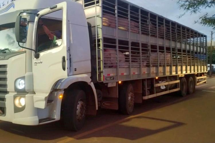 Operação da Receita Estadual