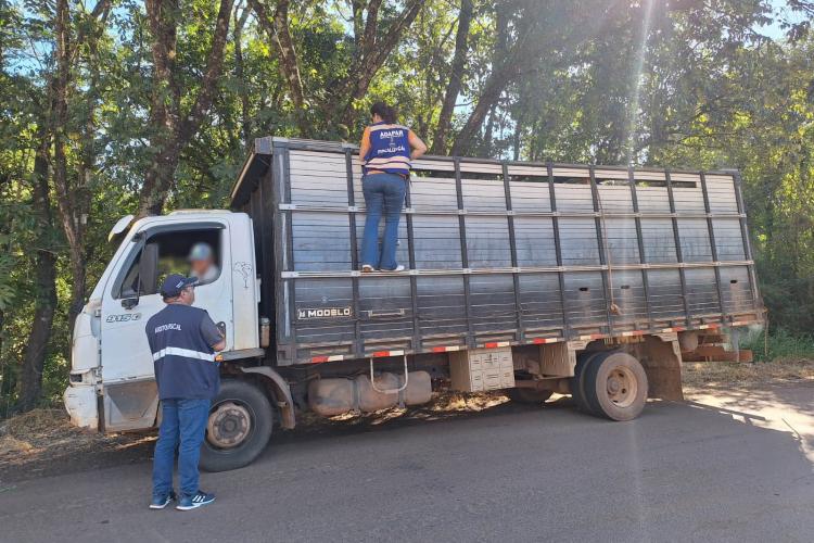 Operação da Receita Estadual