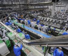 Empresas paranaenses têm até dia 30 de junho para solicitar parcelamento do ICMS-ST 