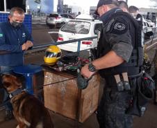 Operação conjunta combate organizações criminosas que utilizam as regiões fronteiriças