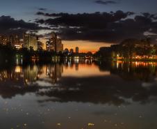 londrina_011.jpg