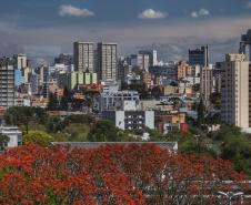curitiba_116.jpg