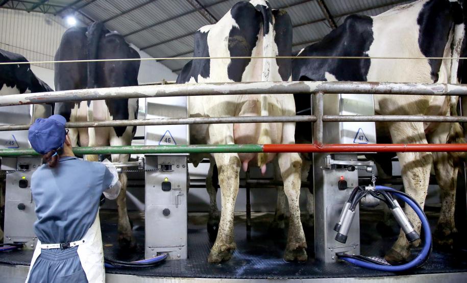 Empresas paranaenses têm até dia 30 de junho para solicitar parcelamento do ICMS-ST