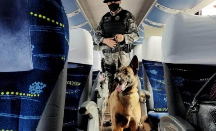 Operação conjunta combate organizações criminosas que utilizam as regiões fronteiriças