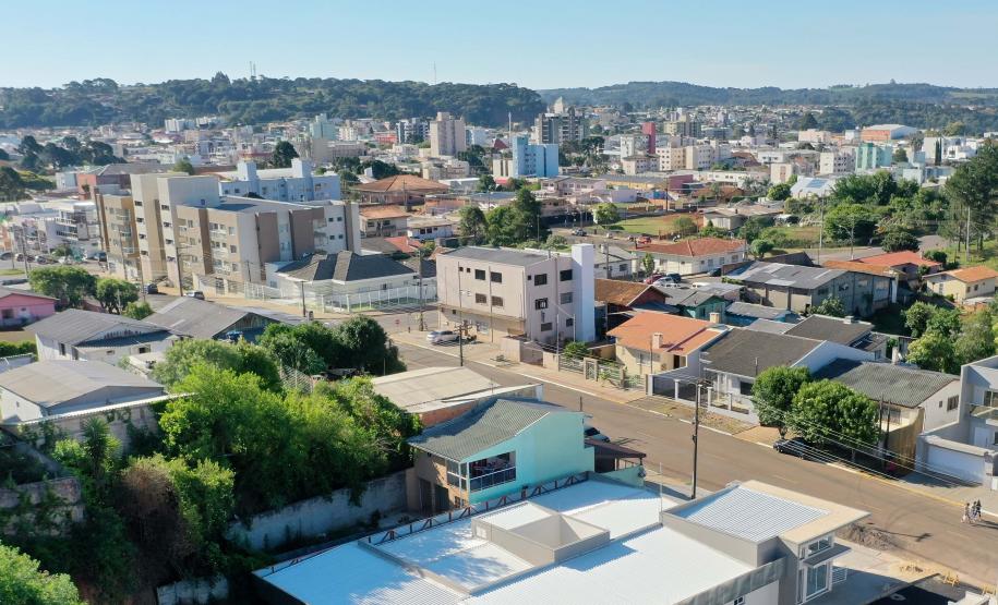 palmas.jpg