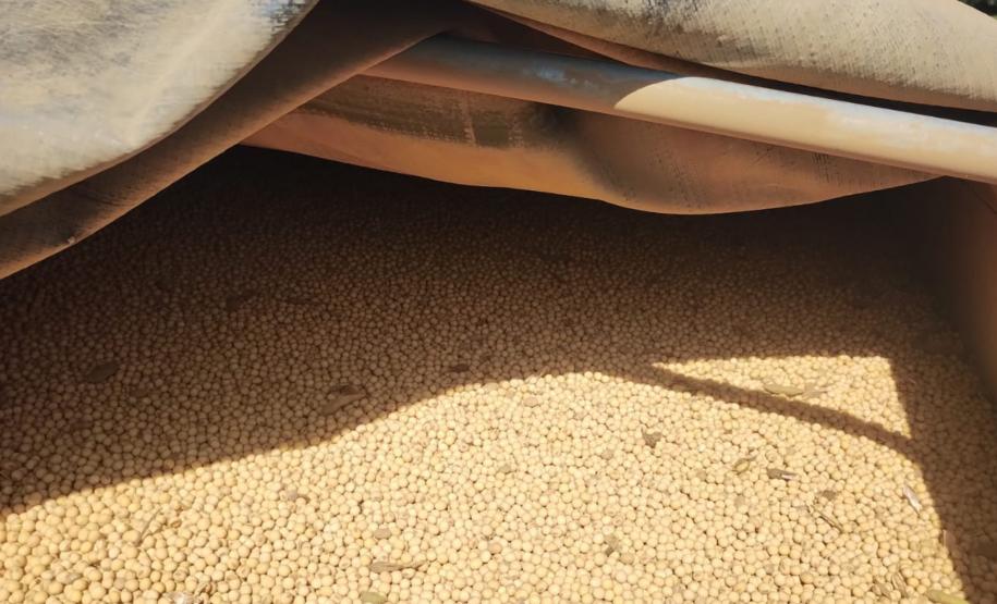 Operação Fumageiras