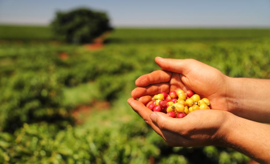 Confaz prorroga adesão obrigatória da nota fiscal eletrônica do produtor rural para maio de 2024
