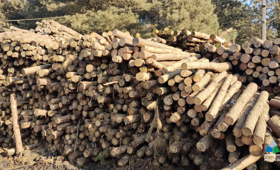 Operação da Receita Estadual fecha 21 empresas na região de Guarapuava