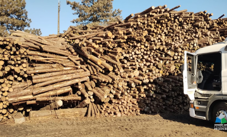 Operação da Receita Estadual fecha 21 empresas na região de Guarapuava