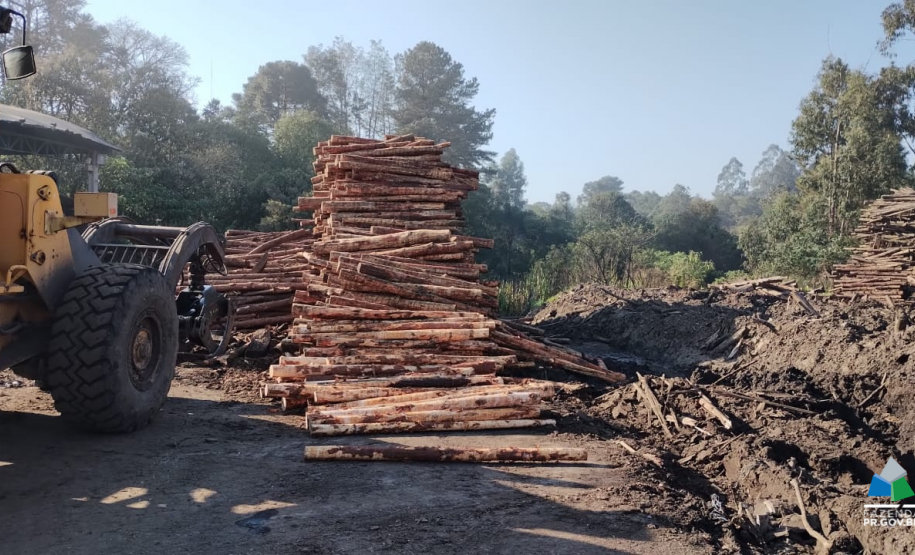 Operação da Receita Estadual fecha 21 empresas na região de Guarapuava