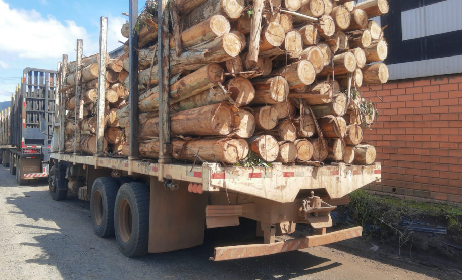 Receita Estadual apreende R$ 1 milhão em mercadorias com irregularidades no Centro-Sul