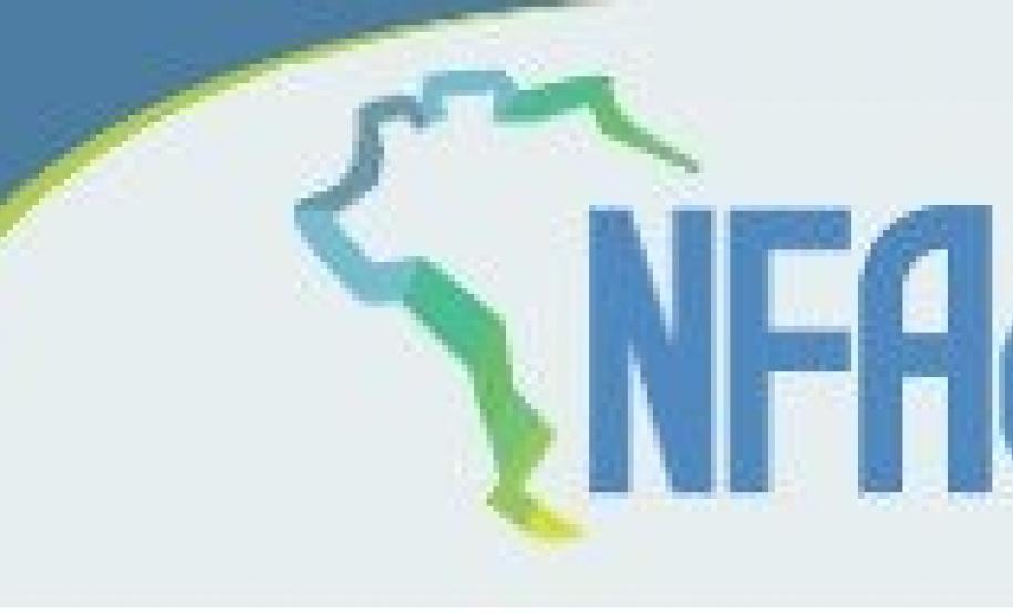 nota fiscal Nota fiscal avulsa eletrônica vai mudar