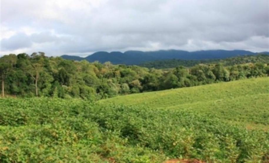 cadastro Produtores rurais sem comercialização podem perder cadastro