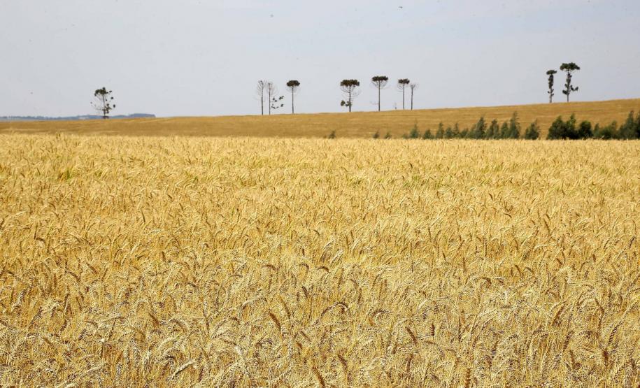 PIB PIB do Paraná cresce e consolida tendência de recuperação