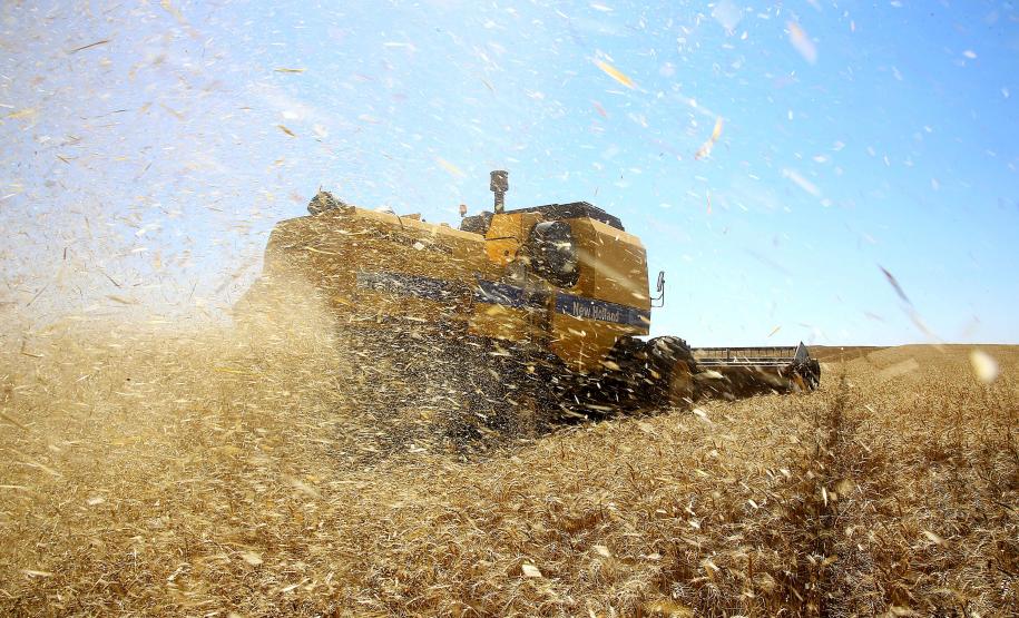 parana Indicadores apontam economia do Paraná em ascendência