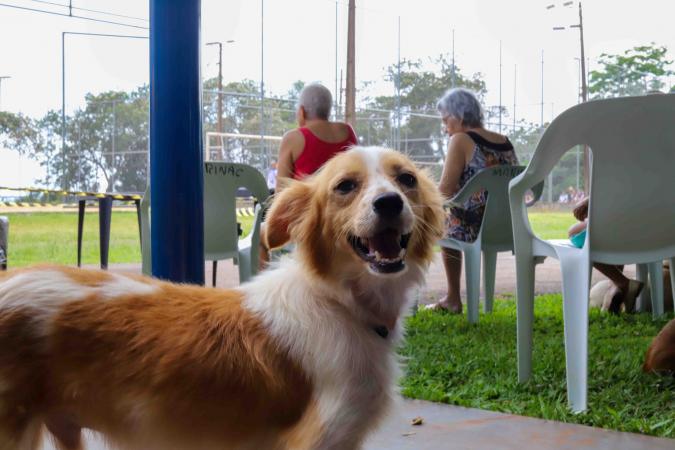 Contrapartida social do Paraná Competitivo vai revitalizar praças com foco pet